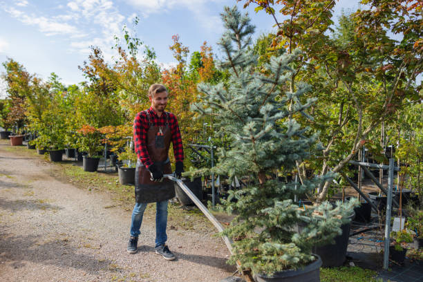 Best Tree Cutting Near Me  in Hardin, MT